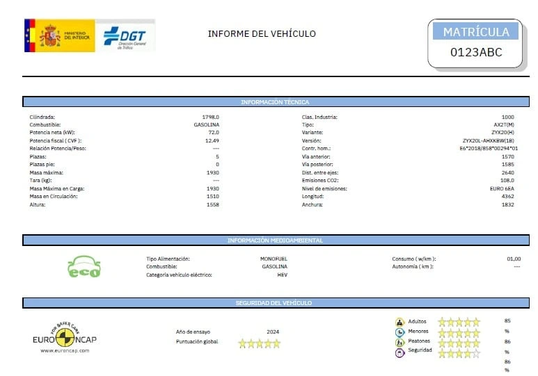 Ejemplo de la cabecera de un informe de DGT